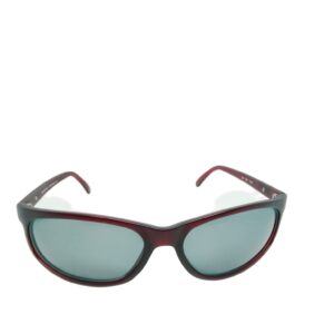 ÓCULOS DE SOL JEAN MONNIER FRAME FRANCE K9 JM1208 8119